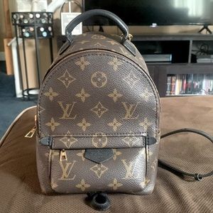 LV Palm Spring Mini